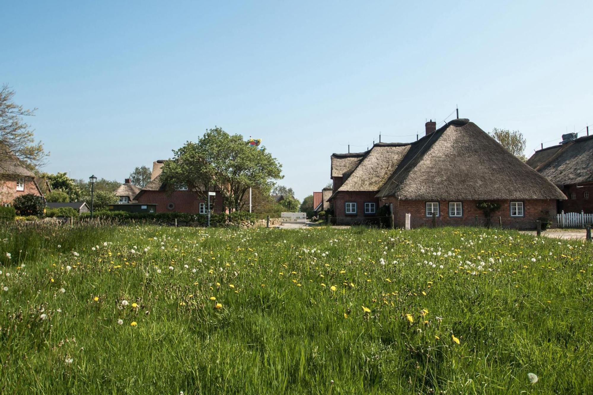 Reethus Glücklicher Matthias Hausteil Waasterlun Oldsum Exterior foto